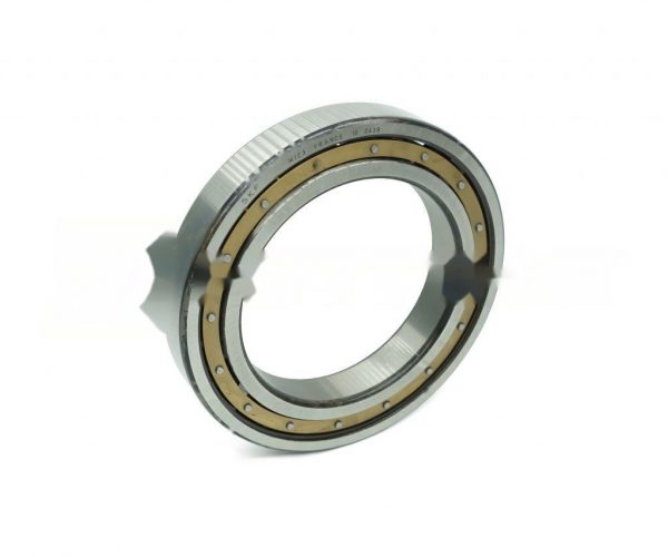 218DNM SKF
