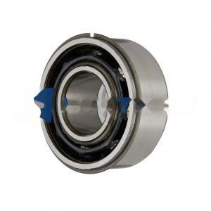 3309ANRTN9R842 SKF