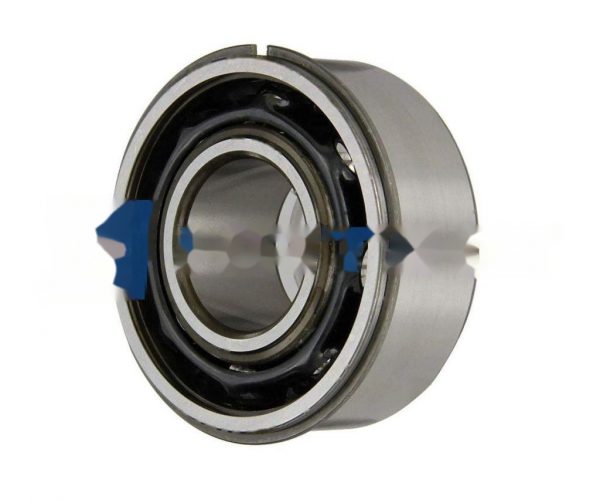 3309ANRTN9R842 SKF