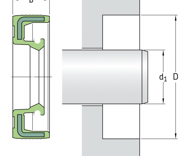 40_55_8_HMSA10-RG SKF